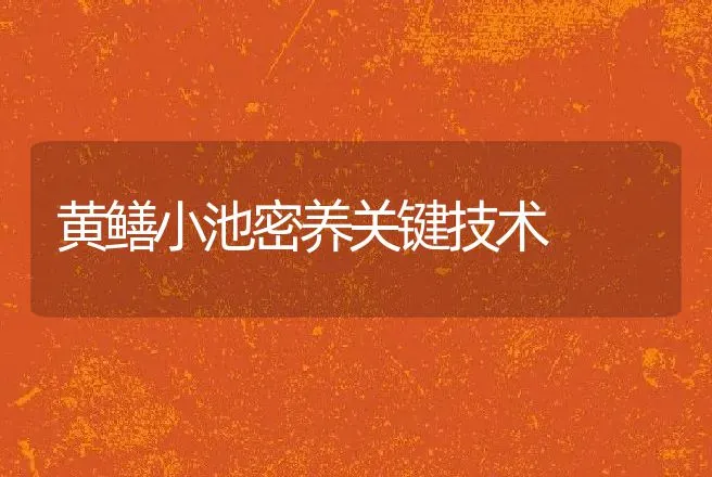 黄鳝小池密养关键技术 | 动物养殖