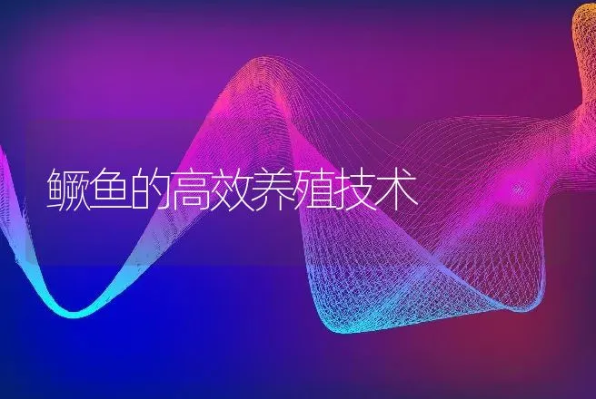 鳜鱼的高效养殖技术 | 动物养殖