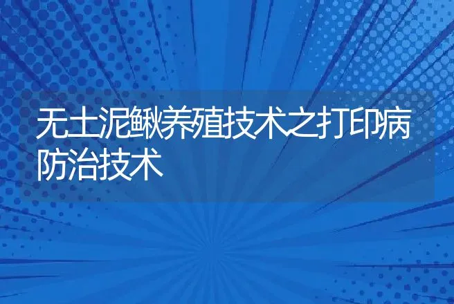 无土泥鳅养殖技术之打印病防治技术 | 水产知识