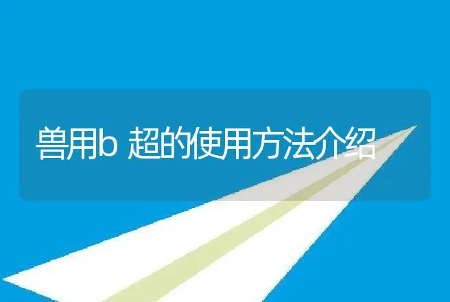 小鸡肠毒综合症怎么处理？怎样通过粪便确诊鸡肠毒综合症？ | 兽医知识大全