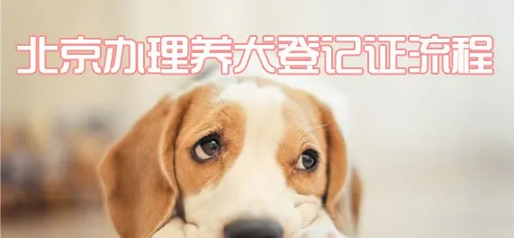 北京办理养犬登记证流程 | 宠物政策法规