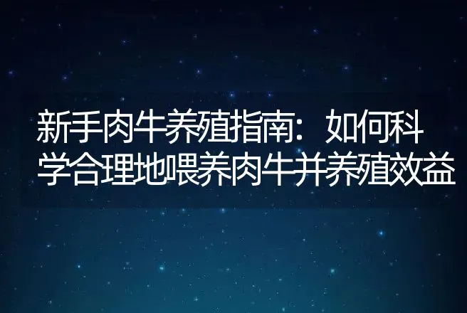 新手肉牛养殖指南:如何科学合理地喂养肉牛并养殖效益 | 家畜养殖