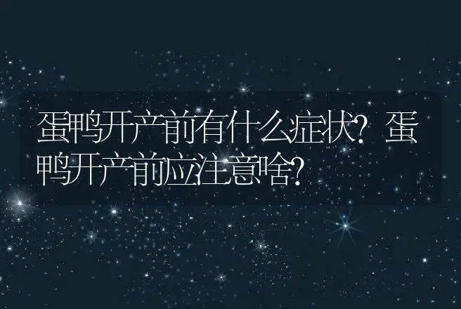 蛋鸭开产前有什么症状？蛋鸭开产前应注意啥？ | 家禽养殖