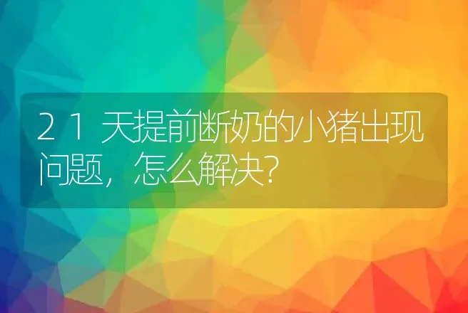 21天提前断奶的小猪出现问题，怎么解决？ | 家畜养殖