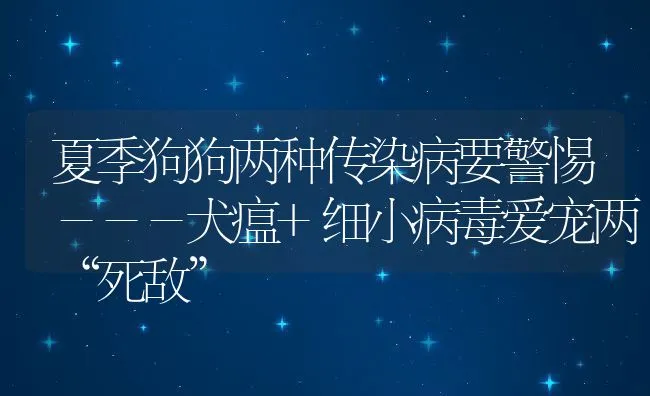 夏季狗狗两种传染病要警惕－－－犬瘟+细小病毒爱宠两“死敌” | 宠物猫