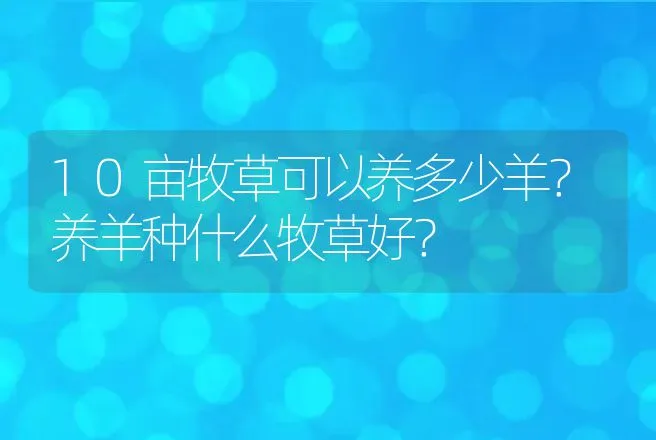 10亩牧草可以养多少羊？养羊种什么牧草好？ | 家畜养殖