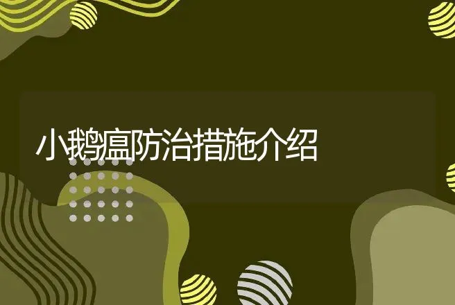 小鹅瘟防治措施介绍 | 家禽养殖