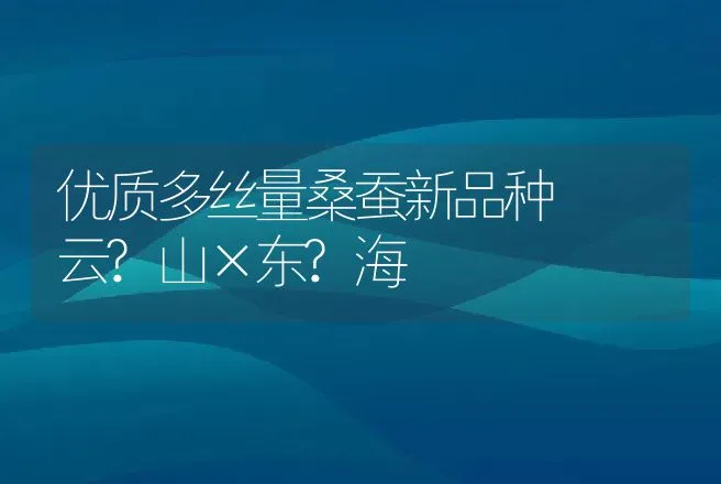 优质多丝量桑蚕新品种――云?山×东?海 | 动物养殖