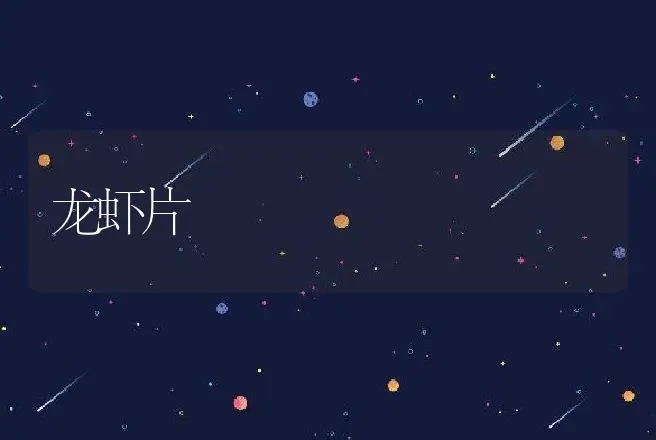 龙虾片 | 动物养殖