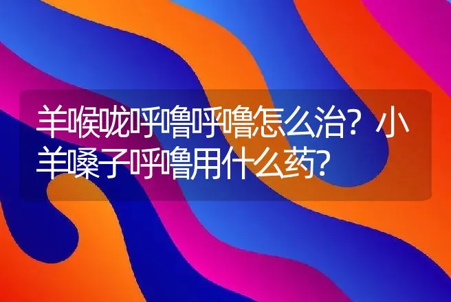 羊喉咙呼噜呼噜怎么治？小羊嗓子呼噜用什么药？ | 兽医知识大全