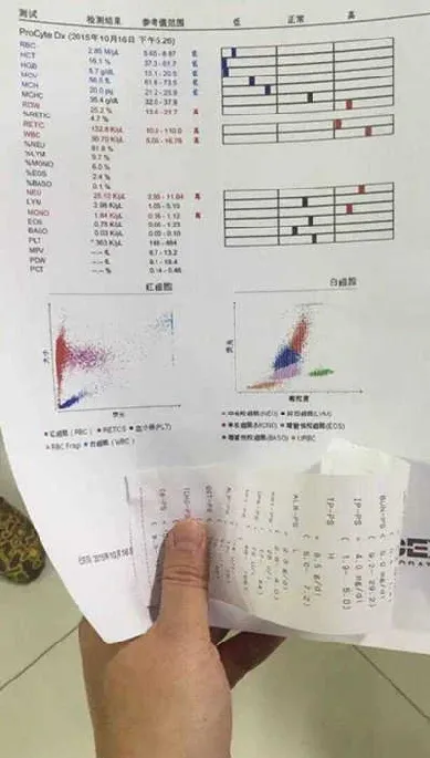 当初健康快乐的金毛领养八个月后发现血被抽干惨不忍睹 | 宠物新闻资讯