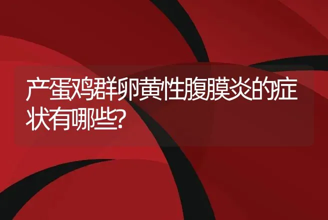 产蛋鸡群卵黄性腹膜炎的症状有哪些? | 兽医知识大全