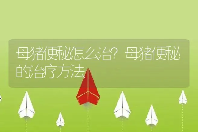 母猪便秘怎么治？母猪便秘的治疗方法 | 兽医知识大全