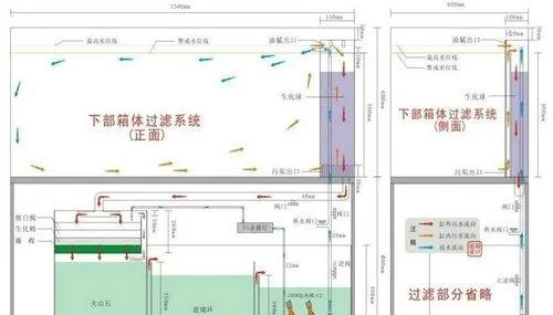 水族箱过滤系统原理揭秘 | 宠物病虫害防治