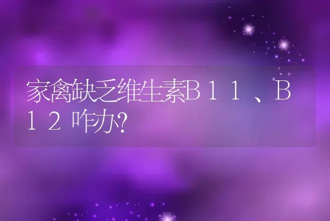 家禽缺乏维生素B11、B12咋办？ | 家禽养殖