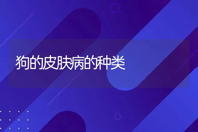 狗的皮肤病的种类 | 兽医知识大全