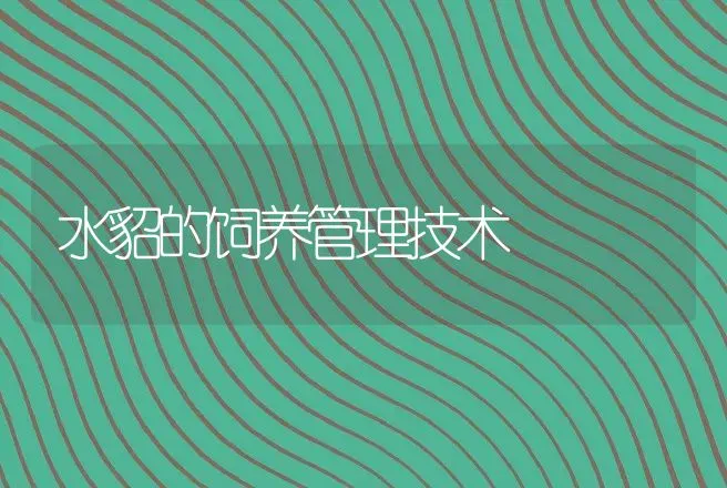 水貂的饲养管理技术 | 动物养殖