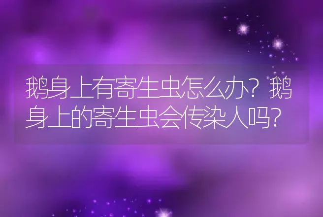 鹅身上有寄生虫怎么办？鹅身上的寄生虫会传染人吗？ | 兽医知识大全