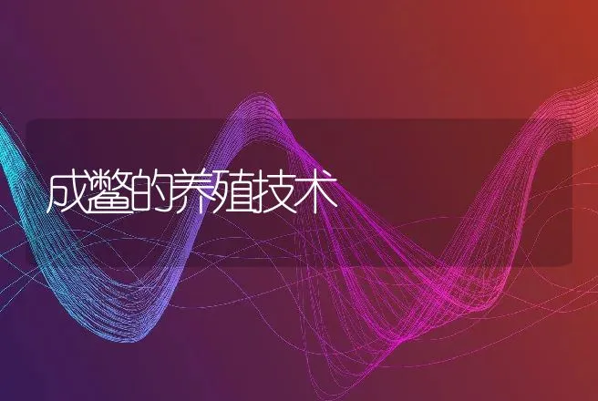 成鳖的养殖技术 | 动物养殖