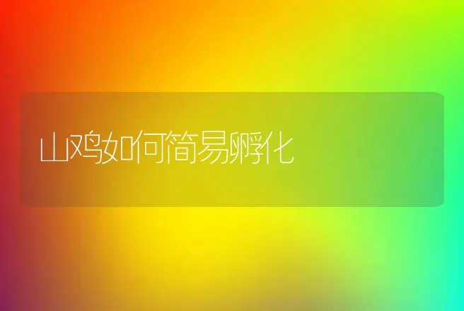 山鸡如何简易孵化 | 动物养殖