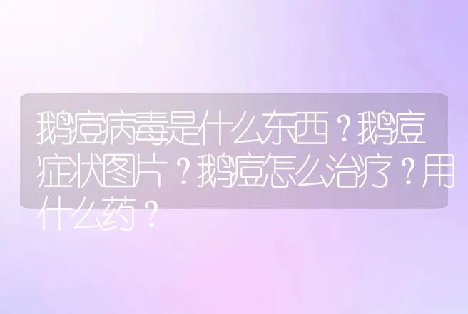 鹅痘病毒是什么东西？鹅痘症状图片？鹅痘怎么治疗？用什么药？ | 兽医知识大全