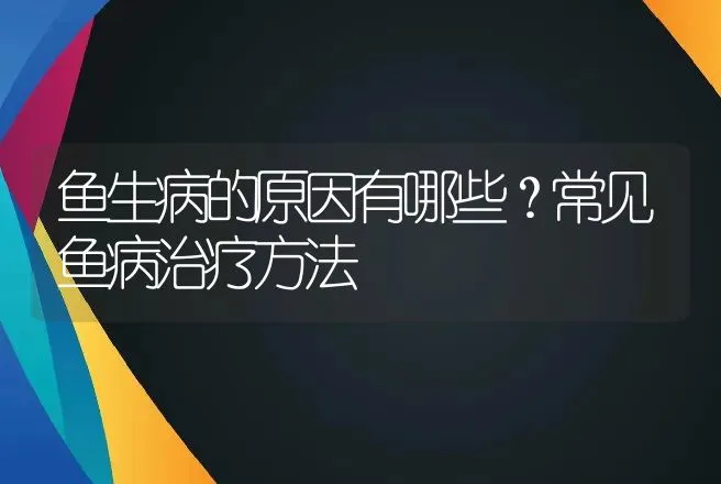 鱼生病的原因有哪些？常见鱼病治疗方法 | 水产知识