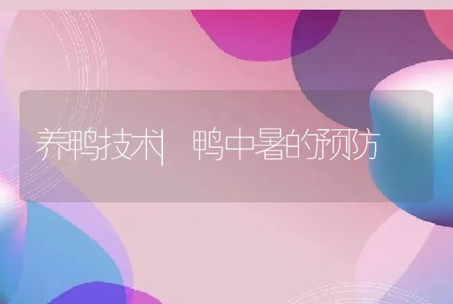 养鸭技术|鸭中暑的预防 | 家禽养殖