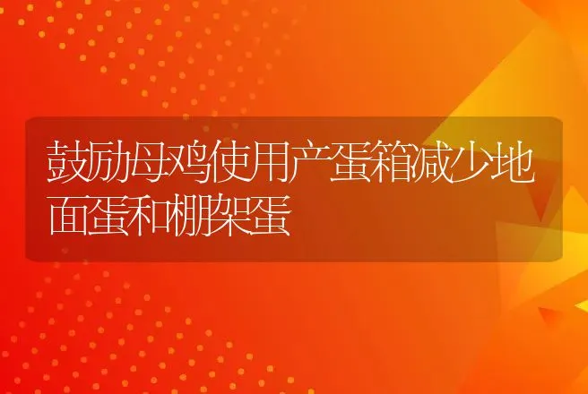 鼓励母鸡使用产蛋箱减少地面蛋和棚架蛋 | 动物养殖