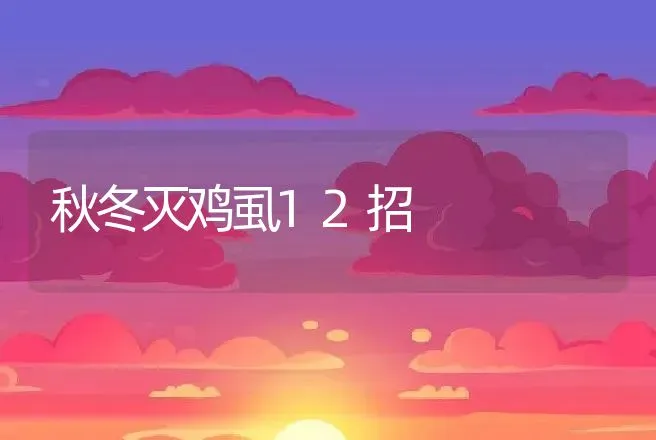 秋冬灭鸡虱12招 | 动物养殖