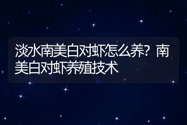 淡水南美白对虾怎么养？南美白对虾养殖技术 | 水产知识