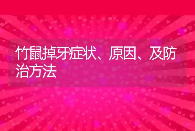 竹鼠掉牙症状、原因、及防治方法 | 特种养殖