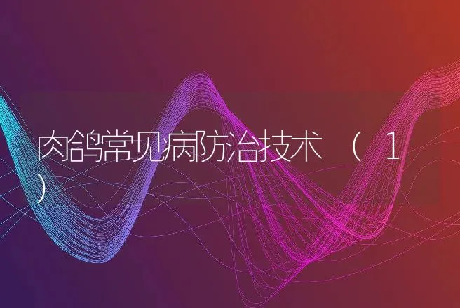 仔猪护理的知识点 | 动物养殖