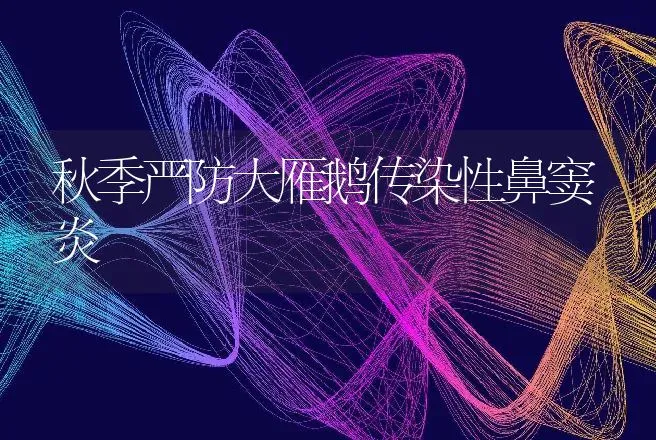 秋季严防大雁鹅传染性鼻窦炎 | 家禽养殖