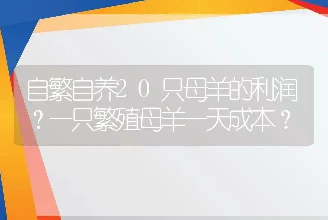 自繁自养20只母羊的利润？一只繁殖母羊一天成本？ | 养殖致富