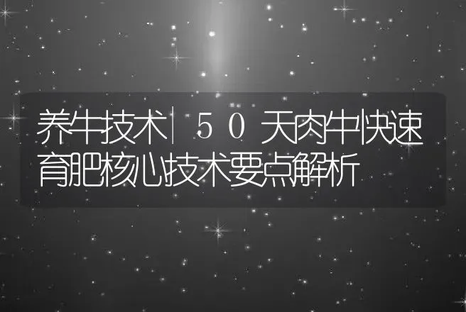 养牛技术|50天肉牛快速育肥核心技术要点解析 | 家畜养殖