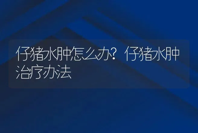 仔猪水肿怎么办?仔猪水肿治疗办法 | 兽医知识大全