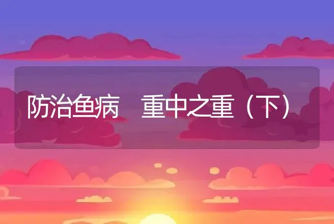 防治鱼病 重中之重（下） | 动物养殖