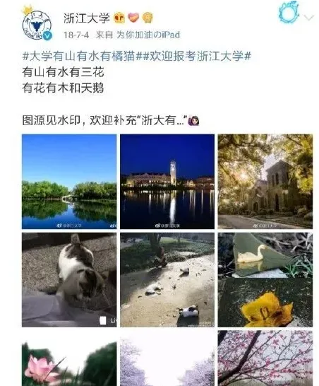 网曝浙江大学学生虐杀小奶猫：不给钱就天天杀猫! | 宠物新闻资讯