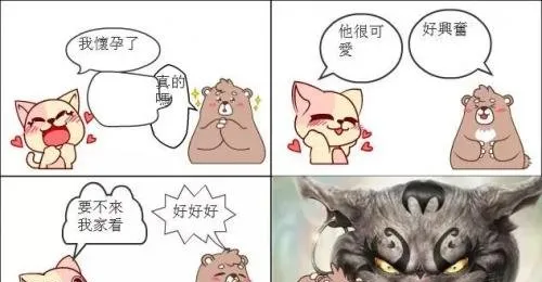 猫咪下崽崽前的六个特殊征兆！ | 宠物猫饲养