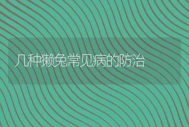 几种獭兔常见病的防治 | 动物养殖