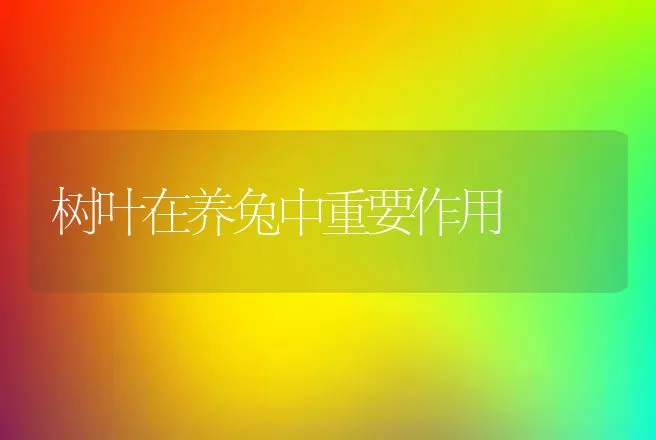 树叶在养兔中重要作用 | 动物养殖