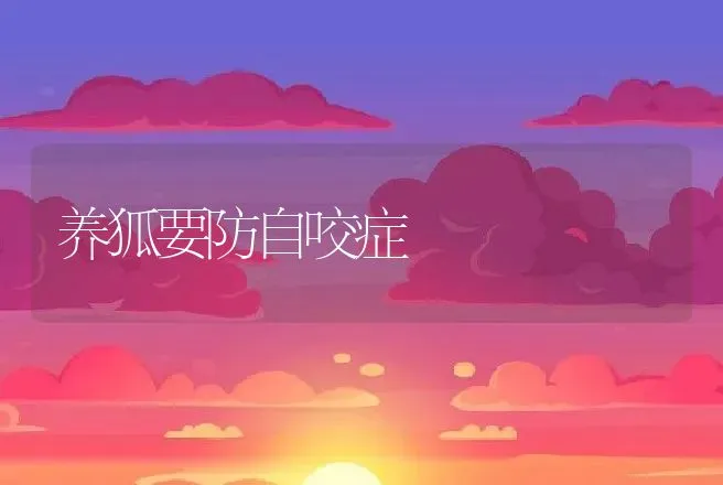 养狐要防自咬症 | 特种养殖