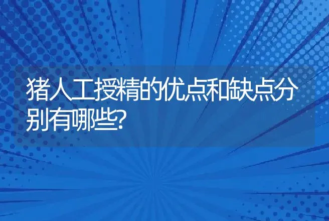 猪人工授精的优点和缺点分别有哪些? | 动物养殖