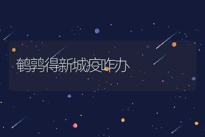 鹌鹑得新城疫咋办 | 动物养殖