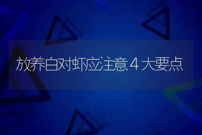 放养白对虾应注意４大要点 | 动物养殖