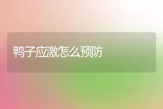 鸭子应激怎么预防 | 家禽养殖