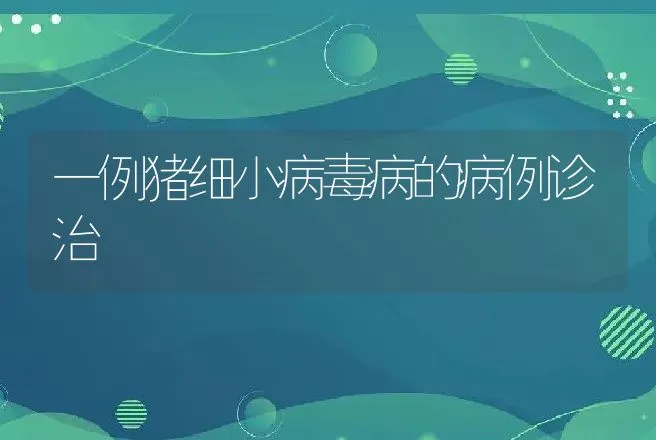 一例猪细小病毒病的病例诊治 | 兽医知识大全