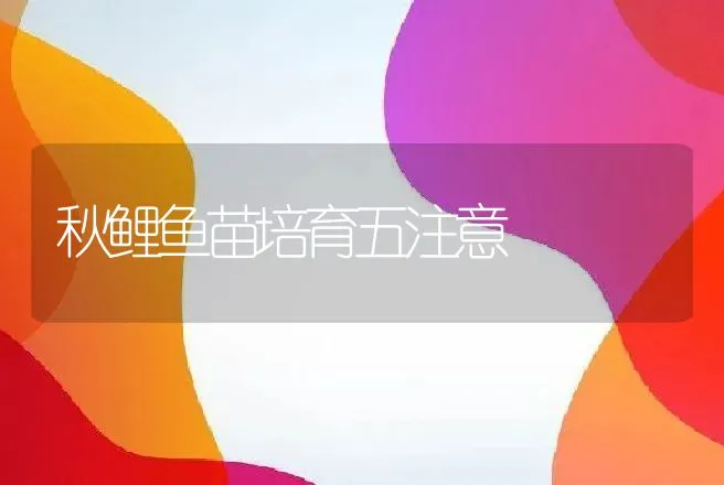 秋鲤鱼苗培育五注意 | 动物养殖