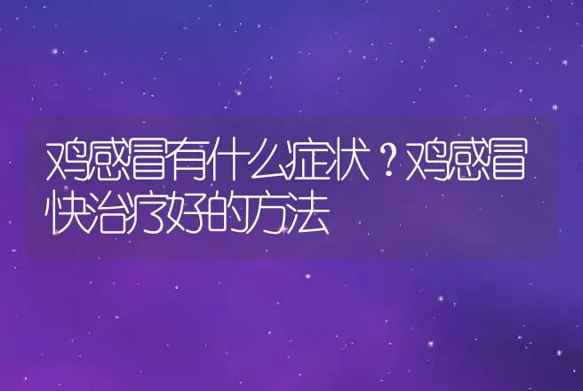 鸡感冒有什么症状？鸡感冒快治疗好的方法 | 兽医知识大全