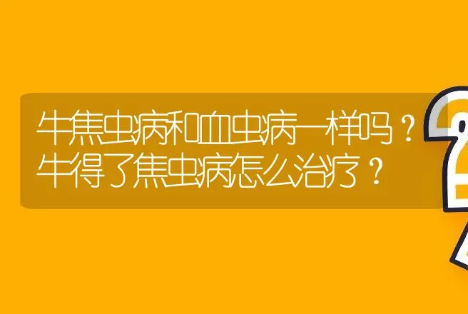 牛焦虫病和血虫病一样吗？牛得了焦虫病怎么治疗？ | 兽医知识大全